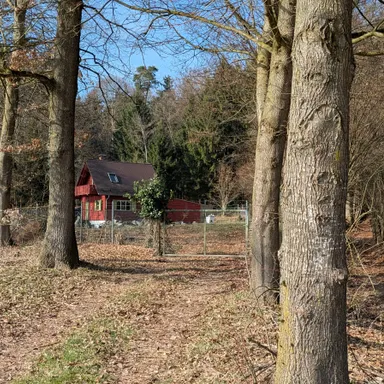 Preisupdate : Jagdhütte am Waldrand mit großem Grundstück