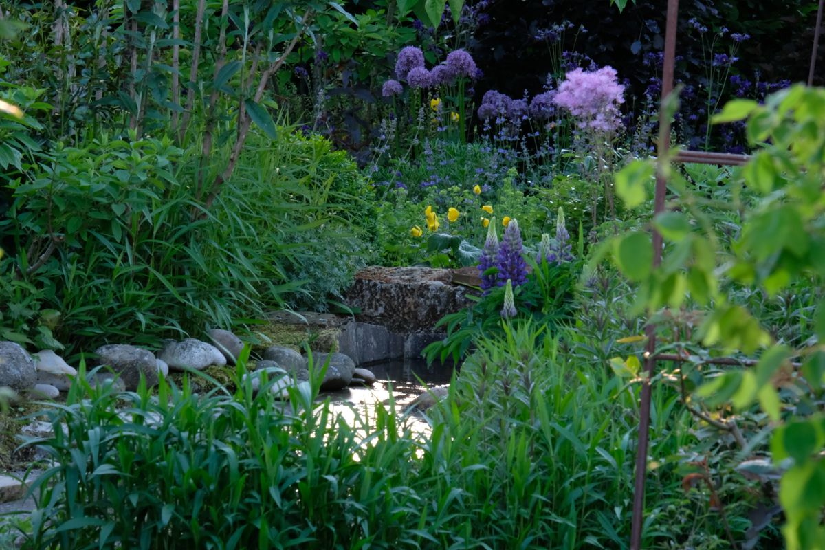 Wasserlauf im Frühling