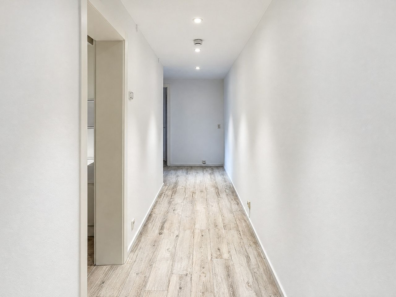 MA-Oststadt – Renovierte 2 ZKD-Souterrain Wohnung - Photo 5