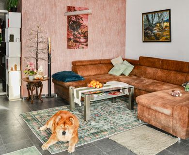 Ideal für Kapitalanleger: Langjährig vermietete 2 ZKB-Eigentumswohnung mit TG-Stellplatz!