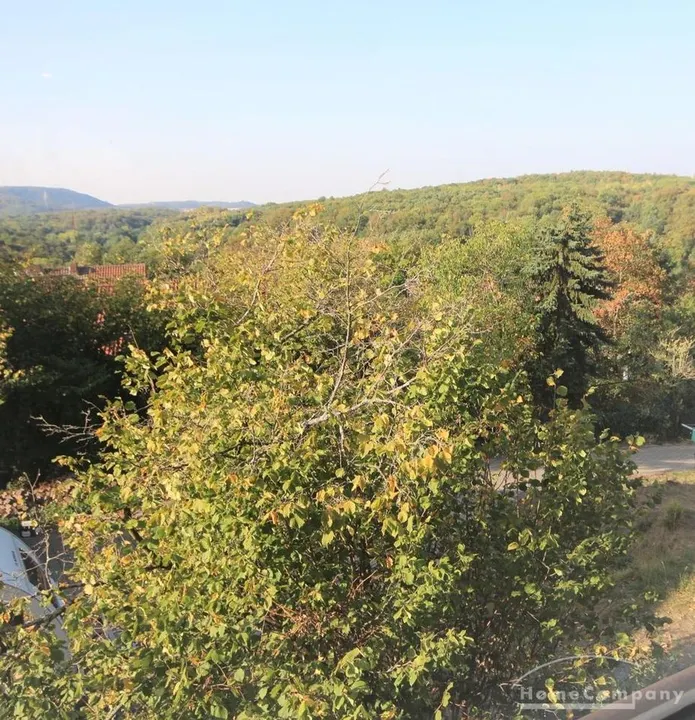 Arbeiten mit Blick ins Gr&uuml;ne