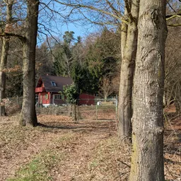 Preisupdate : Jagdhütte am Waldrand mit großem Grundstück