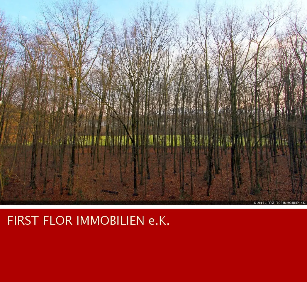 FIRST FLOR IMMOBILIEN e.K.