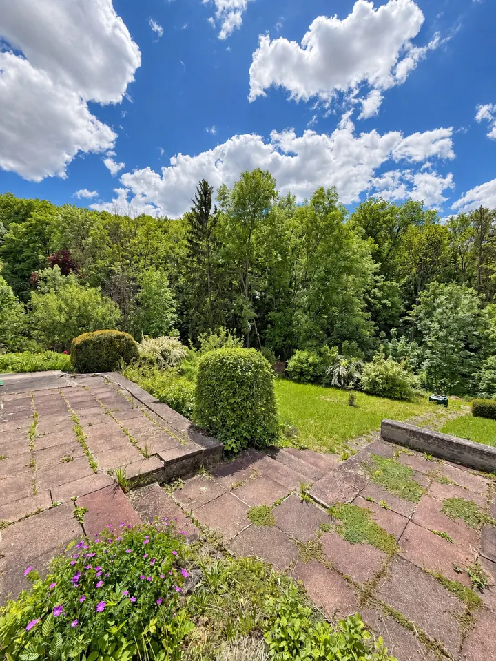 Blick in den Garten