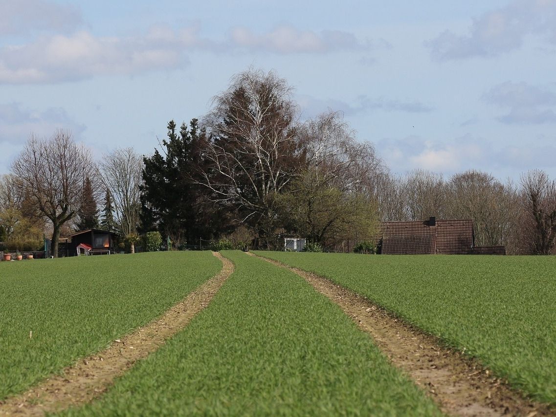 Feldweg durch die hofeigenen Ackerflächen