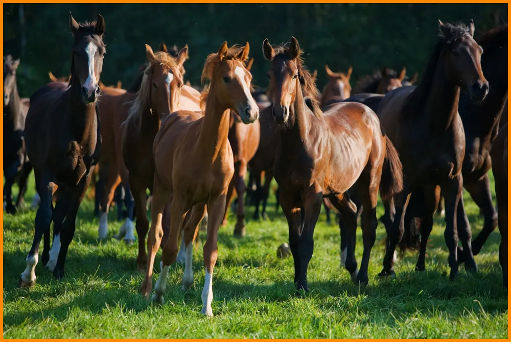 shutterstock_7863133