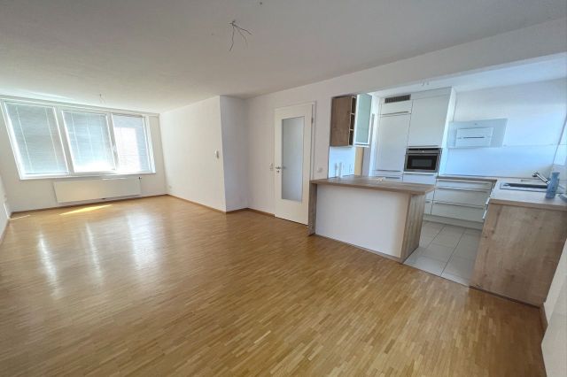 Wohn- Essbereich mit offener Küche