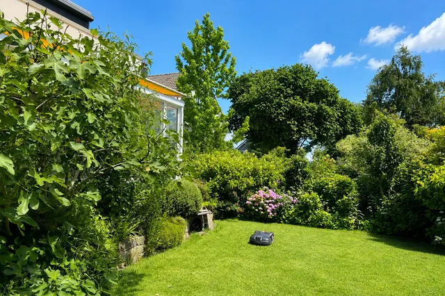 Gartenausschnitt
