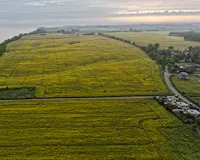 Umgebung