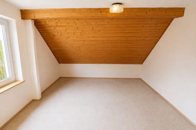Zimmer DG 