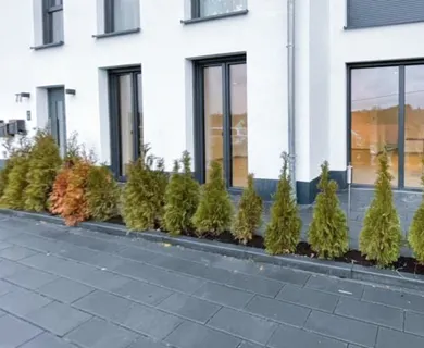 MG – Apartment in Dittweiler