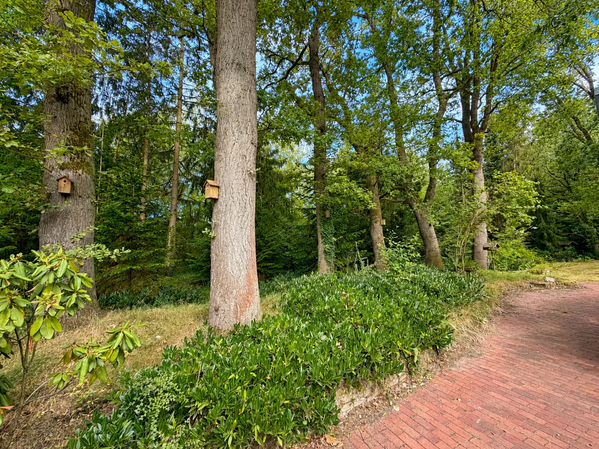 Weg in den hinteren Gartenanteil