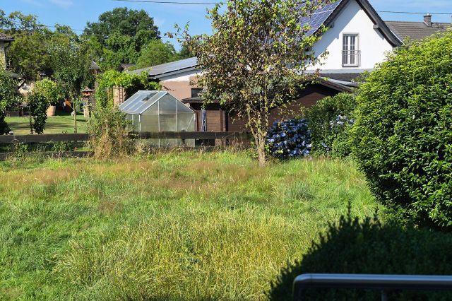 Blick in den Garten
