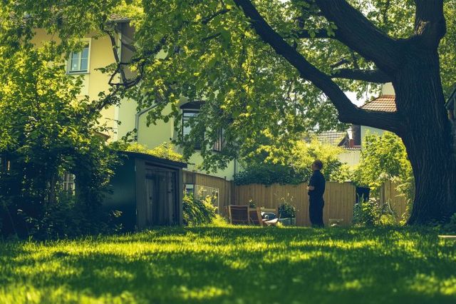 Nachbarschaftsrecht: Was Eigentümer wissen sollten