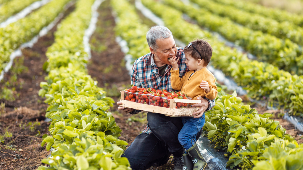 Übertragung von Hofgrundstücken als Abfindung – Wichtige Infos zur HöfeO!