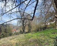 IMG_1199(1)