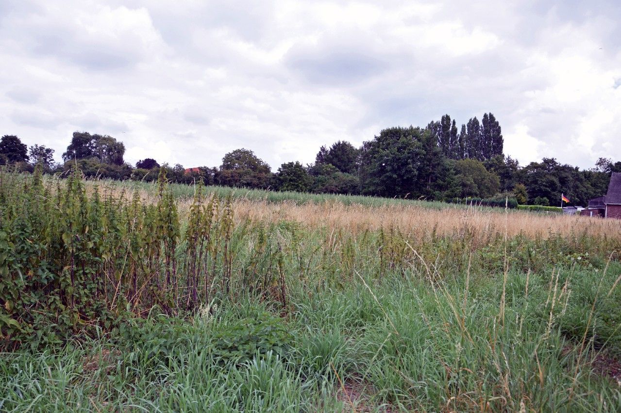 Heute an Morgen denken - Interessante Grundstücksfläche mit Zukunft in 41334 Nettetal-Kaldenkirchen