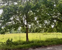 Ausblick ins Grüne 