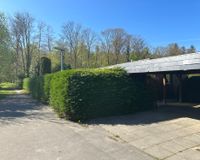 Wald vor der Haustür