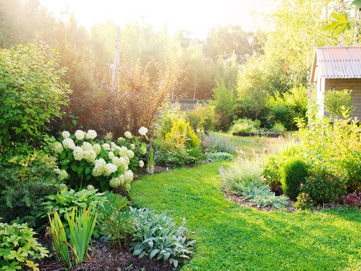 Fit für Hitze und Dürre: 10 Tipps für den klimaresistenten Garten