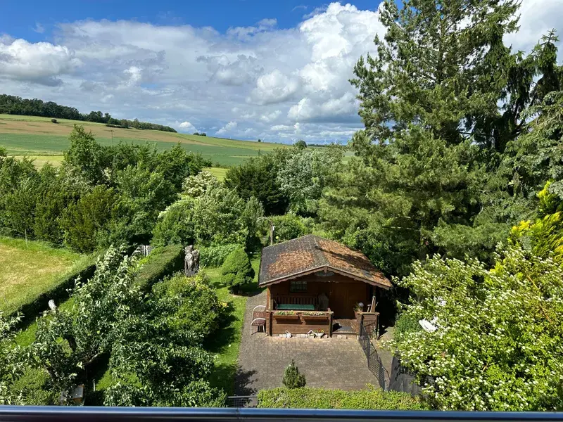 Blick zum Garten vom Balkon