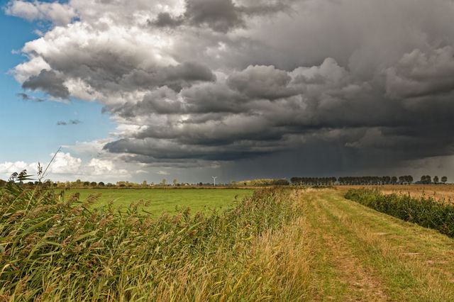 Union und SPD planen Pflicht zur Elementarschadenversicherung