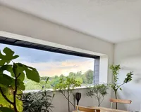 Blick in die Ferne 