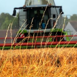 ca. 2 ha Ackerland zu verkaufen