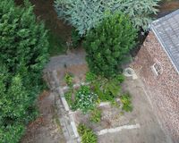 Gemüse und Obstgarten mit Pfirsichbäumen