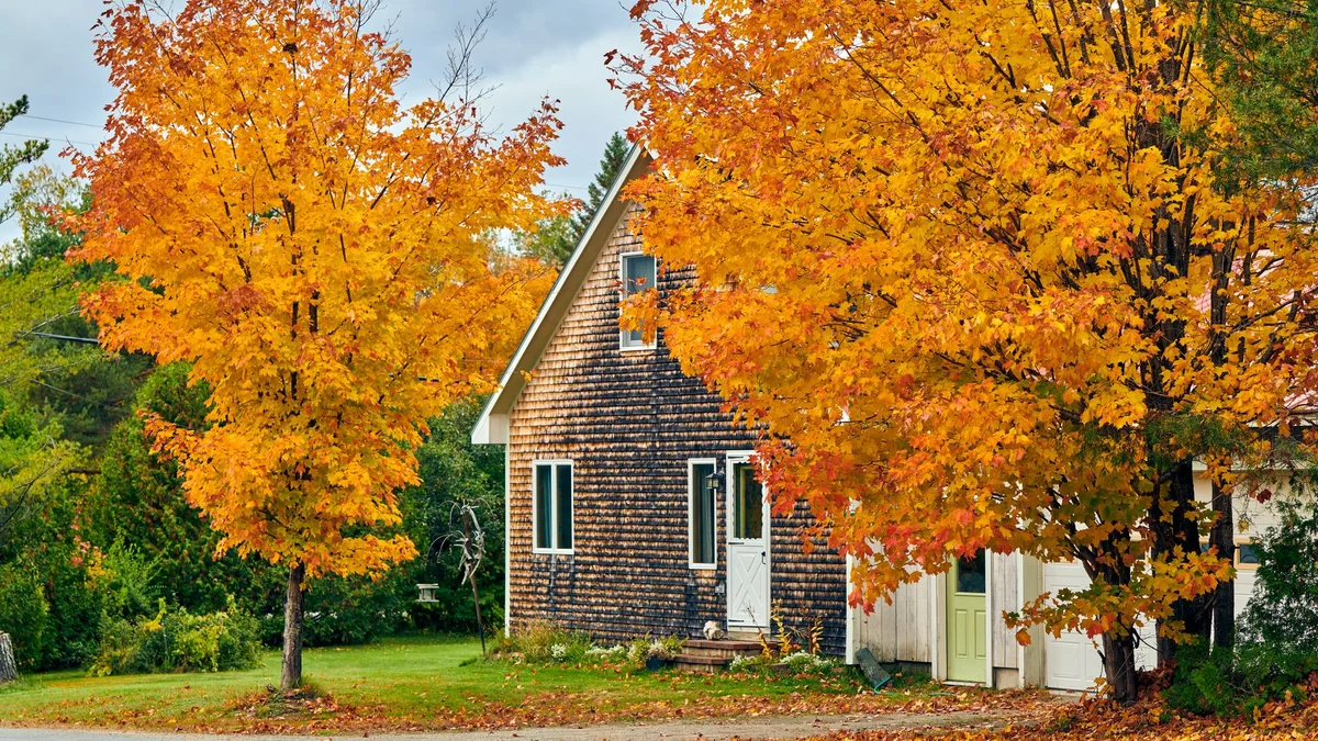 Gartenarbeit im Herbst: Rechte und Pflichten an der Grundstücksgrenze