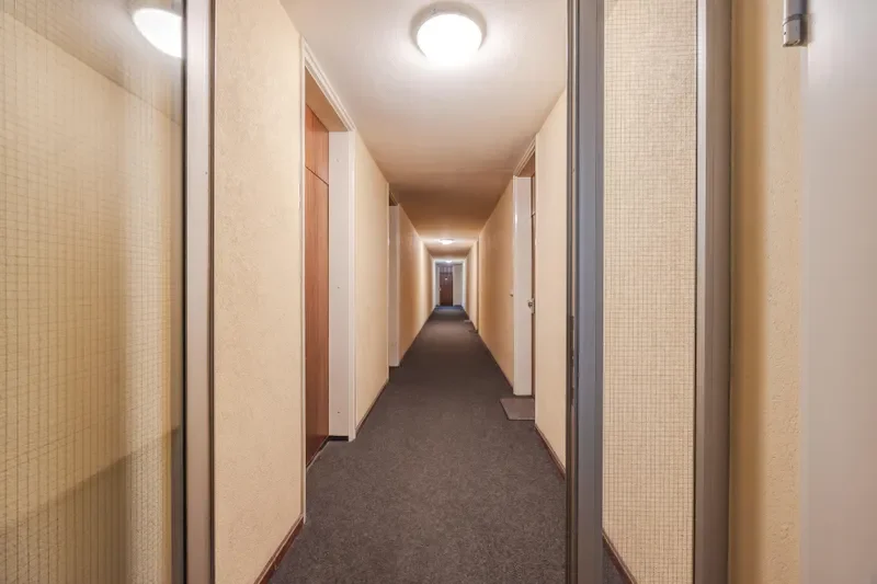Zugang Wohnung (Treppenhaus)