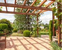 Terrasse mit Pergola