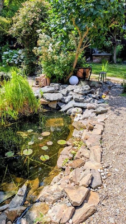 Garden pond