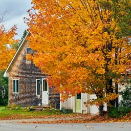 Gartenarbeit im Herbst: Rechte und Pflichten an der Grundstücksgrenze