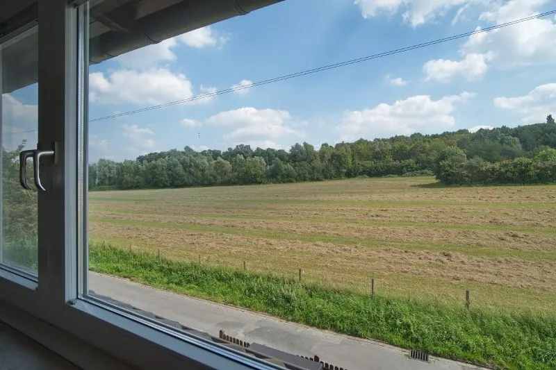 Ausblick
