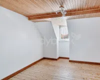 Zimmer DG