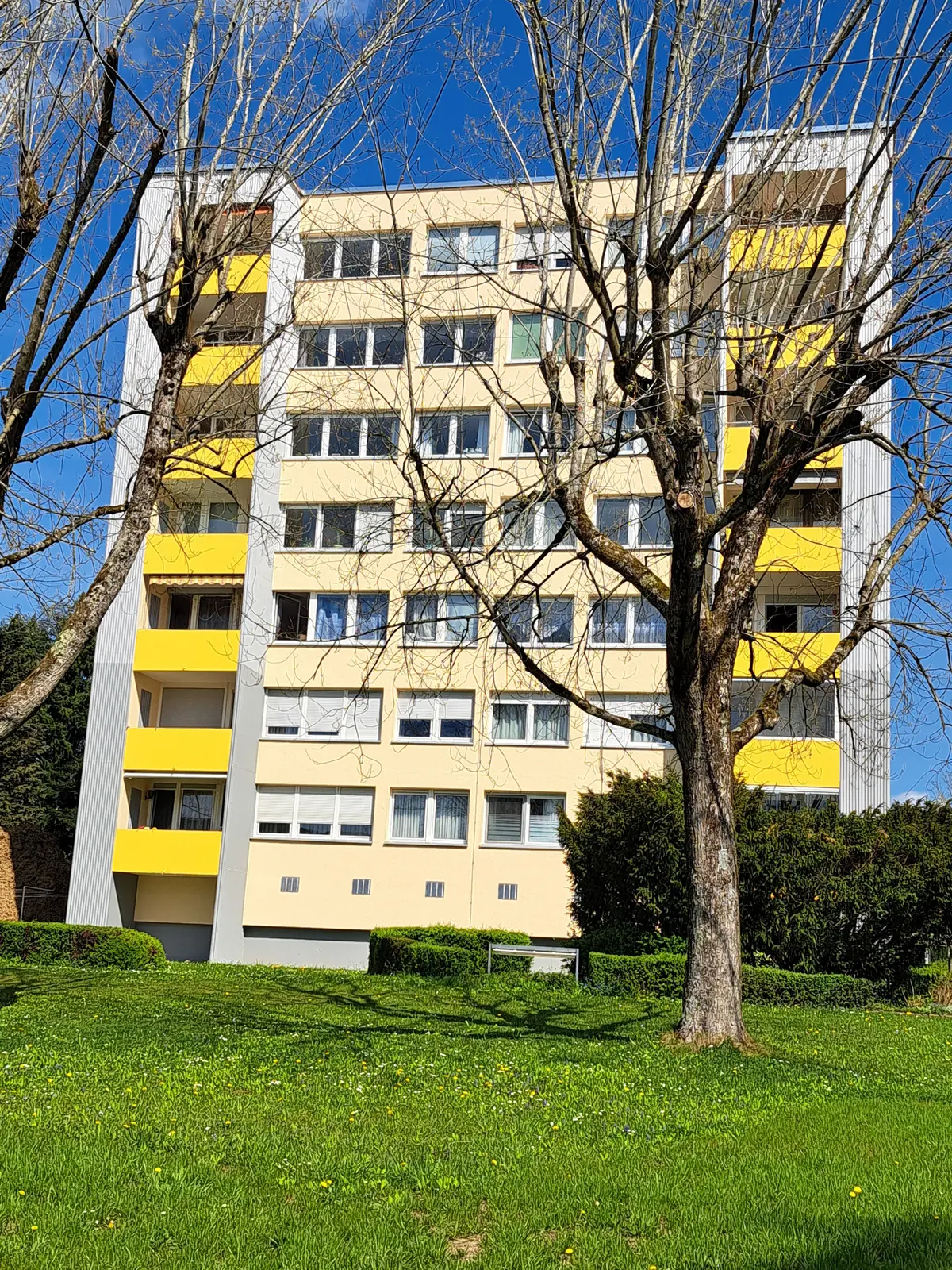 MFH in Wetzgau