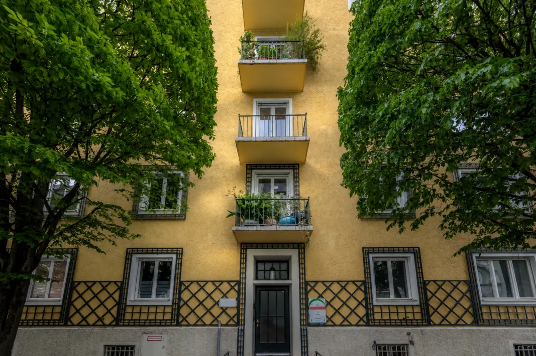 Gesäumt von Bäumen