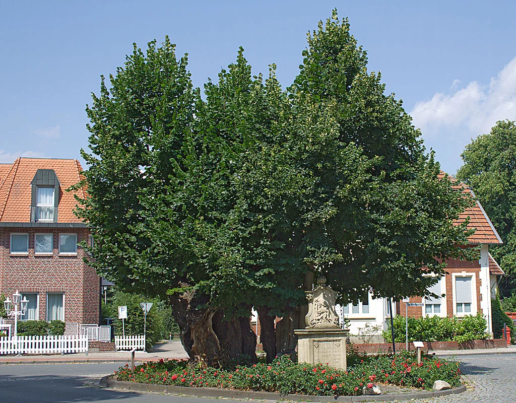 Telgte