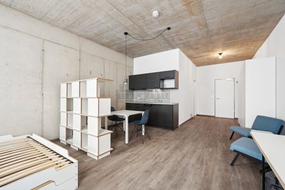 *PROVISIONSFREI* Möbliertes Appartement im Herzen Aachens