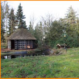 Wohnen und Arbeiten !! Bürogebäude und großes Wohnhaus auf parkähnlichem Grundstück.