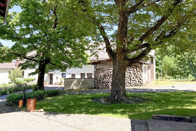 Grünfläche am Haus