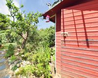 Gartenbereich