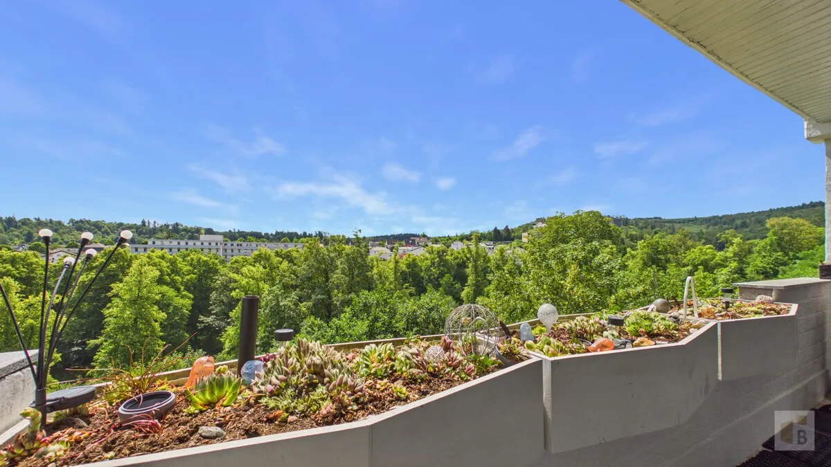 Blick von der Terrasse
