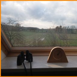 Gemütliche Dachgeschosswohnung mit EBK und traumhaften Blick