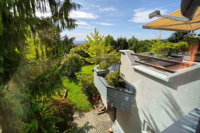 Blick in den Garten
