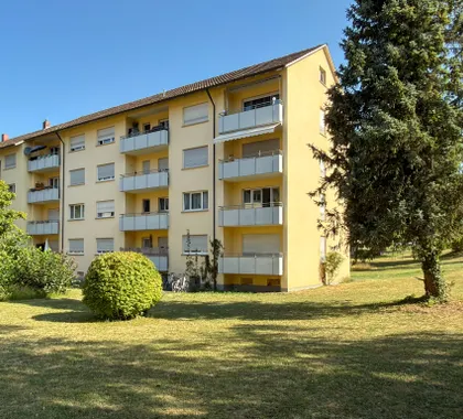 Jetzt neu: Wohnung zur Miete in Konstanz