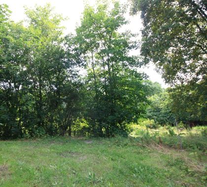 Jetzt neu: Grundstück zum Kauf in Prenzlau