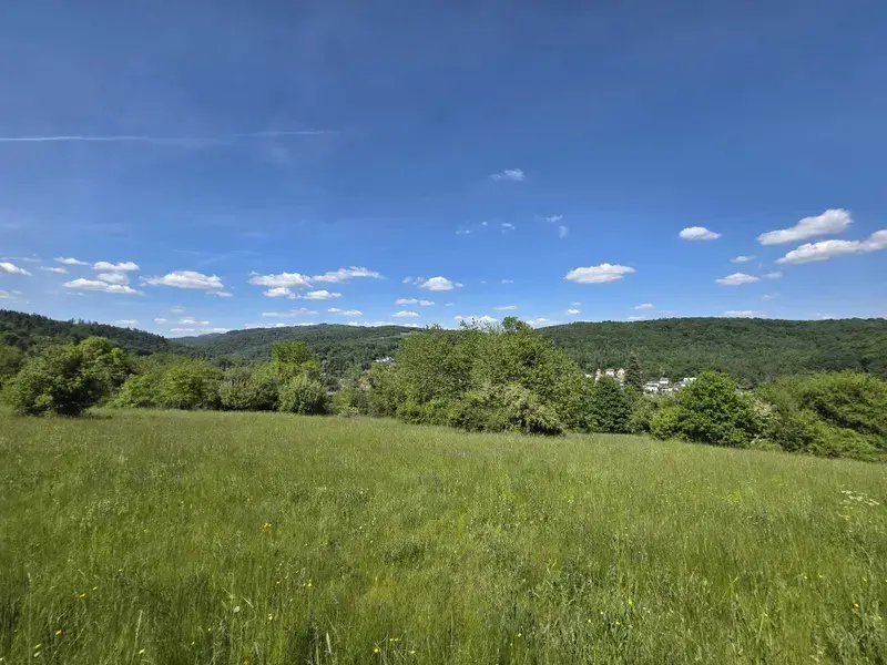 Ausblick in die benachbarten Wälder