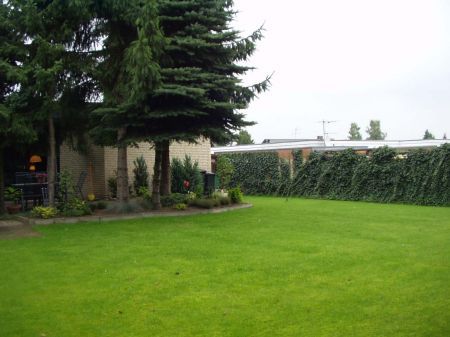 Hier spielen Kinder gerne